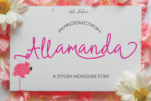 Allamanda Font for Handmade Branding