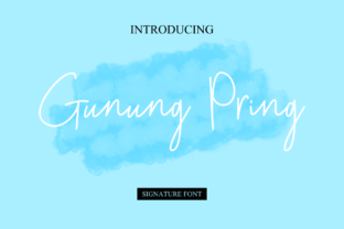 Gunung Pring Font Review for Modern Branding