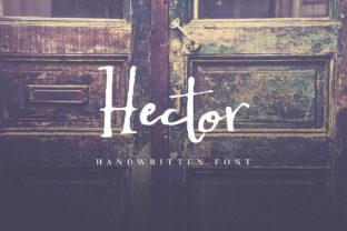 Hector: A Whimsical Script Font for Friendly Brands