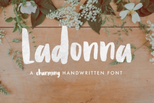 Ladonna Font Review: A Playful Script for Creative Brands