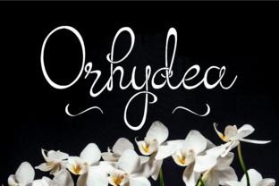 Orhydea Font Review: Elevating Brand Identity