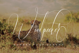 Woodpecker Font: Elevate Your Brand Typography
